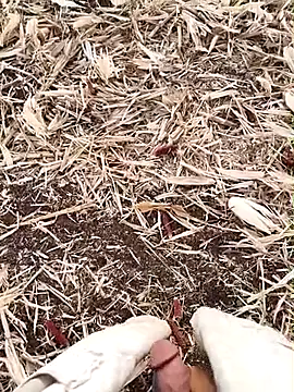 Snapshot of murokkk31 chatting on September 15, 2:55 am murokkk31 online show from September 15, 2:55 am