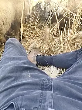 Snapshot of murokkk31 chatting on October 29, 9:33 am murokkk31 online show from October 29, 9:33 am