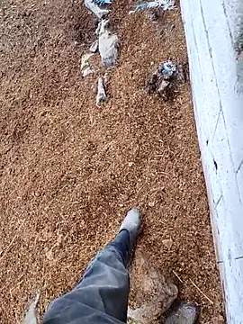 Snapshot of murokkk31 chatting on November 15, 12:45 pm murokkk31 online show from November 15, 12:45 pm