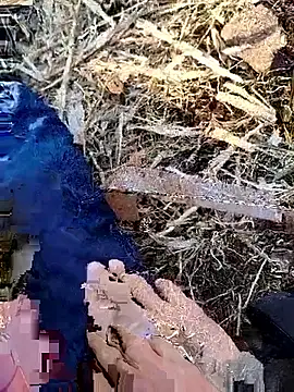 Snapshot of murokkk31 chatting on November 30, 6:06 am murokkk31 online show from November 30, 6:06 am