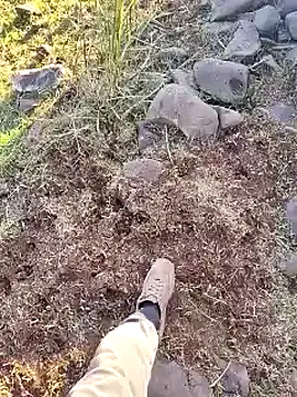 Snapshot of murokkk31 chatting on December 16, 12:21 pm murokkk31 online show from December 16, 12:21 pm