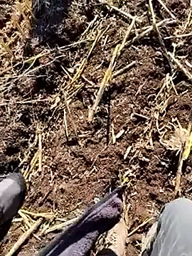 murokkk31 online show from December 18, 9:37 am