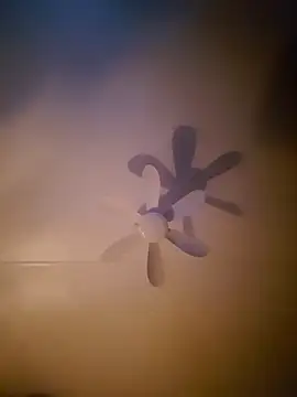 Snapshot of Dorset8360 chatting on November 18, 2:17 am Dorset8360 online show from November 18, 2:17 am