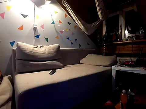 Snapshot of BSDG_POL chatting on January 12, 1:21 am BSDG POL online show from January 12, 1:21 am