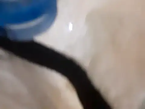 Snapshot of pedrodavid_ chatting on March 14, 12:10 am pedrodavid online show from March 14, 12:10 am