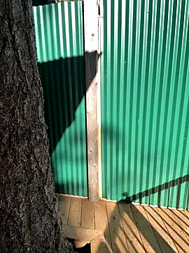 Snapshot of twist699 chatting on November 4, 6:07 pm twist699 online show from November 4, 6:07 pm