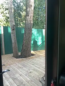 Snapshot of twist699 chatting on November 8, 6:40 pm twist699 online show from November 8, 6:40 pm