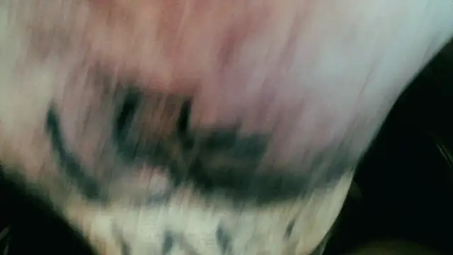 Snapshot of Gigadickman chatting on January 5, 11:44 pm Gigadickman online show from January 5, 11:44 pm