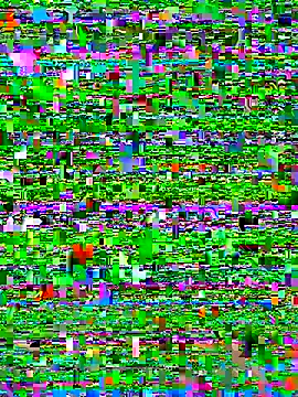 Snapshot of bad-boy-2002 chatting on October 5, 2:37 pm bad-boy-2002 online show from October 5, 2:37 pm