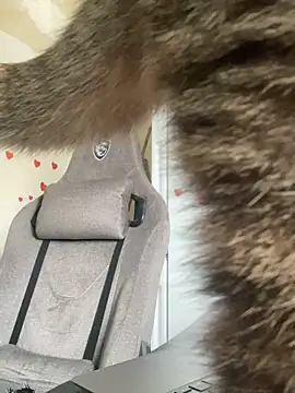 Snapshot of GraceTorrez chatting on March 21, 6:05 am GraceTorrez online show from March 21, 6:05 am