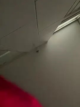 Zara dulce online show from February 23, 12:02 pm