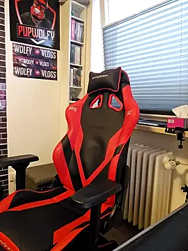 Snapshot of PupW0lfy chatting on January 28, 3:14 pm PupW0lfy online show from January 28, 3:14 pm