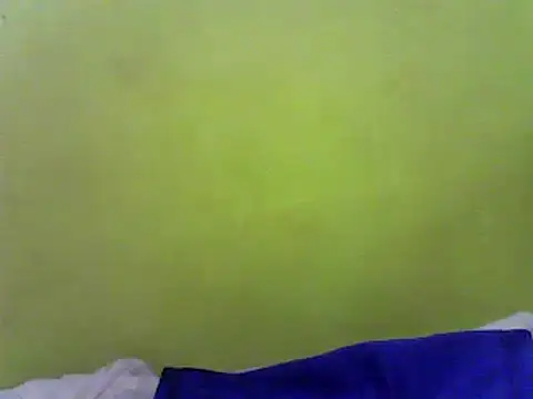 Snapshot of Claris2 chatting on January 24, 7:18 pm Claris2 online show from January 24, 7:18 pm