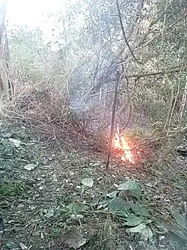 Snapshot of andreu_mature chatting on February 26, 10:42 pm andreu mature online show from February 26, 10:42 pm