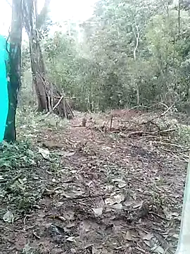 Snapshot of andreu_mature chatting on March 3, 4:14 pm andreu mature online show from March 3, 4:14 pm