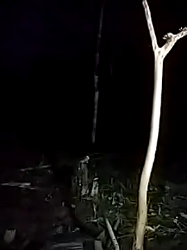 Snapshot of andreu_mature chatting on March 17, 11:43 pm andreu mature online show from March 17, 11:43 pm