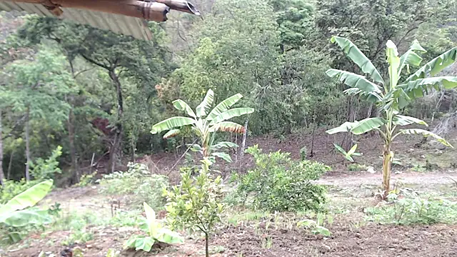 Snapshot of andreu_mature chatting on October 7, 1:08 pm andreu mature online show from October 7, 1:08 pm