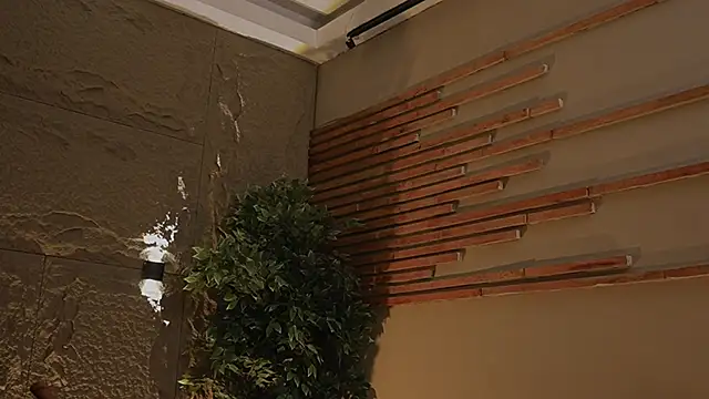 Snapshot of Logan_Varela chatting on November 1, 12:56 am Logan Varela online show from November 1, 12:56 am