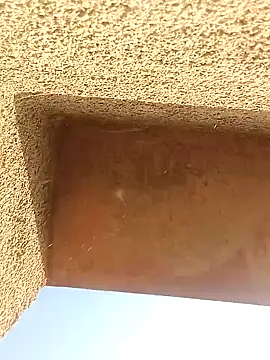 Sweet Dhara online show from January 10, 3:50 am