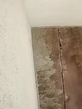 Sweet Dhara online show from January 13, 5:44 am