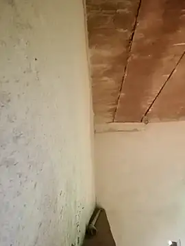 Sweet Dhara online show from January 16, 6:03 am