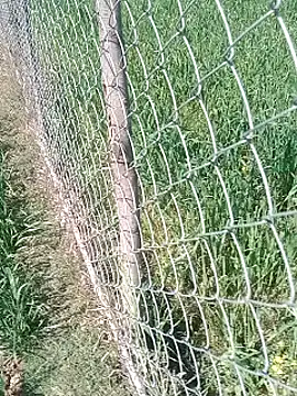 Sweet Dhara online show from February 12, 6:29 am