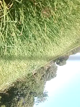 Sweet Dhara online show from February 15, 10:55 am