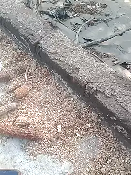 Sweet Dhara online show from February 16, 10:43 am