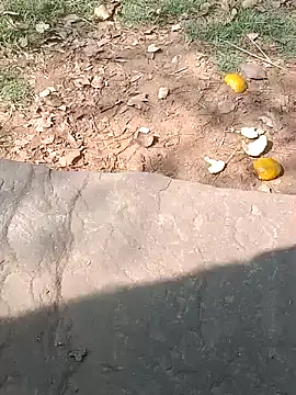 Sweet Dhara online show from February 20, 5:33 am