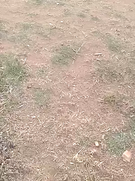 Sweet Dhara online show from February 26, 1:53 am