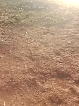 Sweet Dhara online show from March 6, 1:37 am