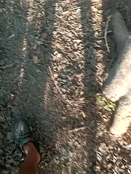 Sweet Dhara online show from March 7, 11:40 am