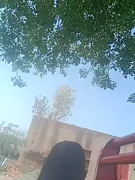 Sweet Dhara online show from March 16, 5:25 am