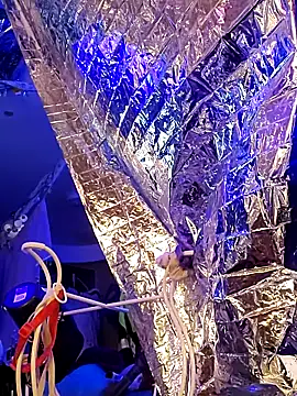 gurlnips online show from March 21, 11:33 am