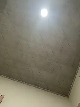 petitolivia online show from September 20, 4:24 am