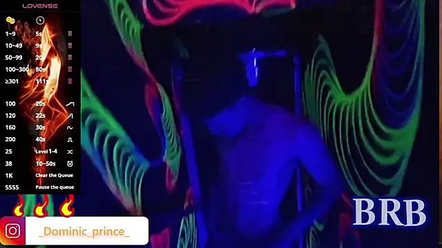 DominicPrince online show from November 11, 11:38 pm