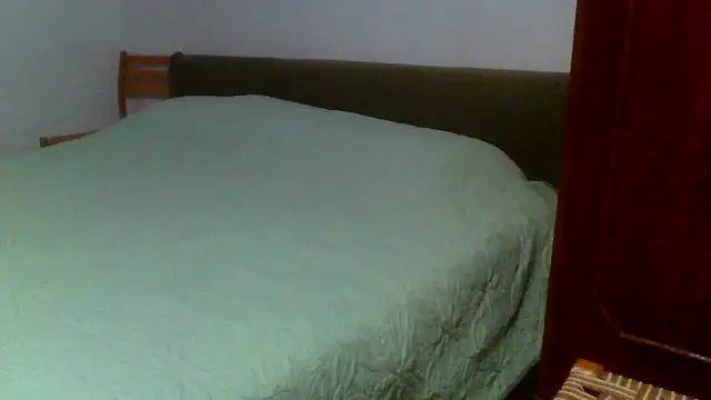 Snapshot of petan33 chatting on September 11, 6:41 pm petan33 online show from September 11, 6:41 pm