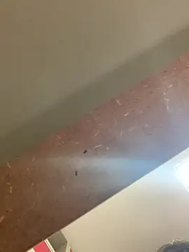 smithrosinha online show from September 19, 5:24 pm