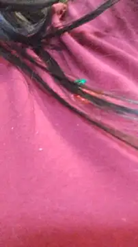 Snapshot of ailyn_miranda chatting on November 29, 7:50 pm ailyn miranda online show from November 29, 7:50 pm