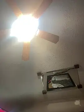 SmokingSloth online show from February 6, 2:31 pm