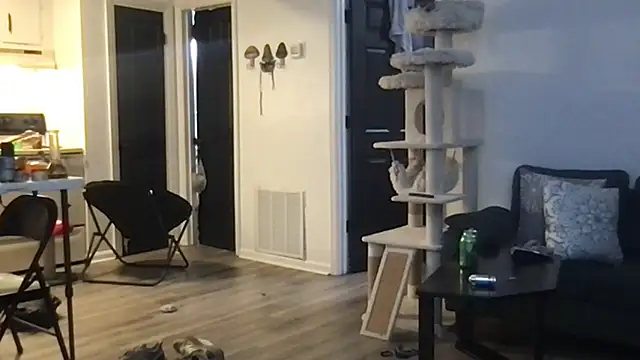 Snapshot of SpunCandy chatting on October 1, 4:29 am SpunCandy online show from October 1, 4:29 am