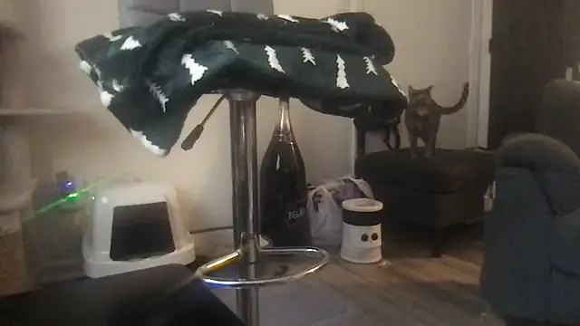 Snapshot of SpunCandy chatting on March 20, 8:25 pm SpunCandy online show from March 20, 8:25 pm