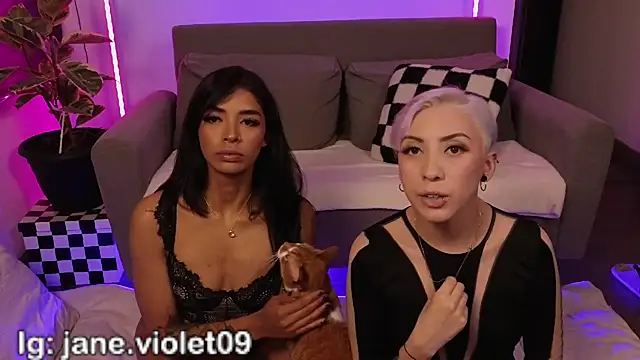 jane hart  online show from February 6, 12:48 am