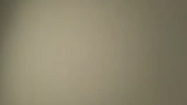 Snapshot of Sophia_Cambpell chatting on June 5, 10:37 pm Sophia Cambpell online show from June 5, 10:37 pm