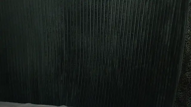 1BECHA1 online show from December 3, 7:49 am