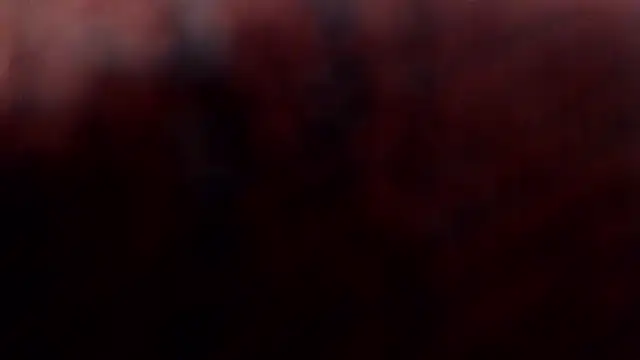 1BECHA1 online show from March 5, 2:35 pm