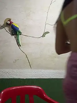 Karla-sexy01 online show from January 4, 3:07 am