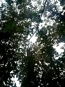 Snapshot of Fucker_boy_1 chatting on January 19, 3:50 am Fucker boy 1 online show from January 19, 3:50 am