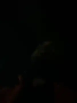 Snapshot of Rastamanzigy22 chatting on February 12, 2:06 am Rastamanzigy22 online show from February 12, 2:06 am