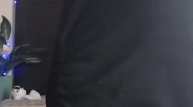 WildRuhi20 online show from January 25, 11:13 am